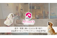 【Alice's Dog & Cat】オンラインで10年、愛犬家達に選ばれ続けてきた品質。 東京代官山にショールームOPEN