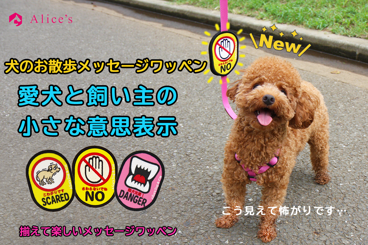 日本初 犬の飼い主様のお散歩の時の不安の声に応えた新商品 犬のお散歩メッセージワッペン 1月22日新発売 Alice S Dog Catのプレスリリース