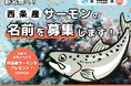 西条の新名物へ!「西条産サーモン」の名前を募集します!