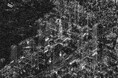 自社小型SAR衛星「StriXシリーズ」の2つの撮像モードで、国内最高峰の高分解能画像取得に成功