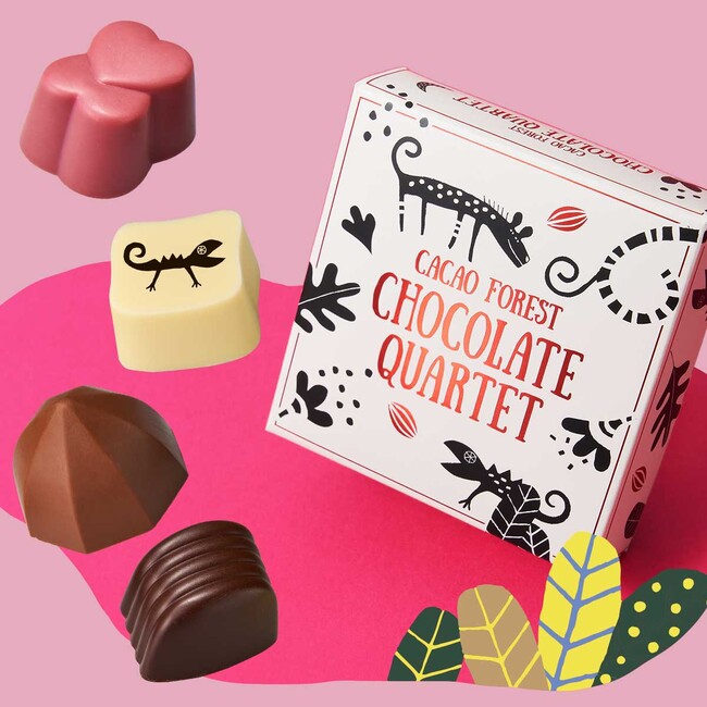 カカオの森 チョコレートカルテット カカオの森 チョコレートカルテット