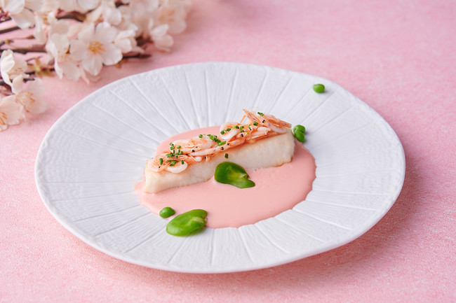 魚メイン：桜エビのクロスタをのせた鰆のグリリアータ 春色のソースと共に