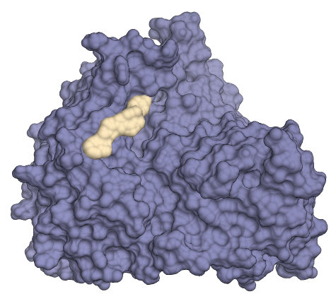 アグロデザイン スタジオ Preferred Networksと分子標的農薬の共同研究を行い 6ヶ月で新規な除草剤のリード化合物創出に成功 アグロデザイン スタジオのプレスリリース