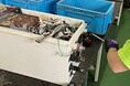 ミライフが、給湯器リサイクル事業に参画、本格導入を開始