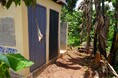 世界トイレの日に、白いはちみつでアフリカにトイレを届けませんか?
