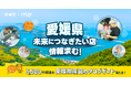 【オープンネーム事業承継】未来につなぎたい店の情報求む!事業承継relay × 愛媛県が連携し、愛媛県の未来につなぎたい店・味・技術の情報を募集。