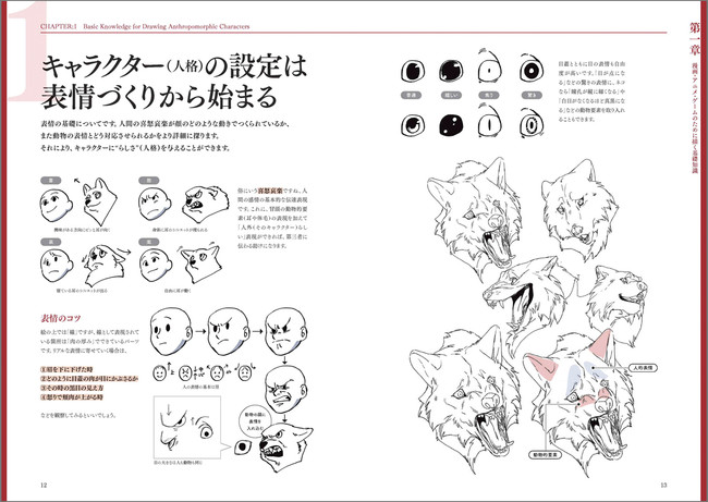 発売前重版 ケモミミ 獣人 擬人化 クリーチャー モンスターなどのデザインと発想のコツを 人気の漫画家 墨佳遼が解説した人外キャラクターデザイン書の決定版 Hinapage