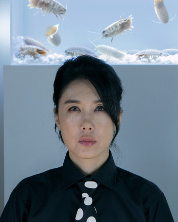 (C)︎SHELL and JOINT (C)︎SHELL and JOINT