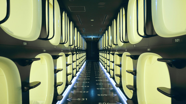 (C)︎SHELL and JOINT (C)︎SHELL and JOINT