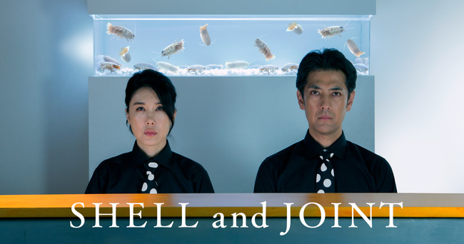 (C)︎SHELL and JOINT (C)︎SHELL and JOINT