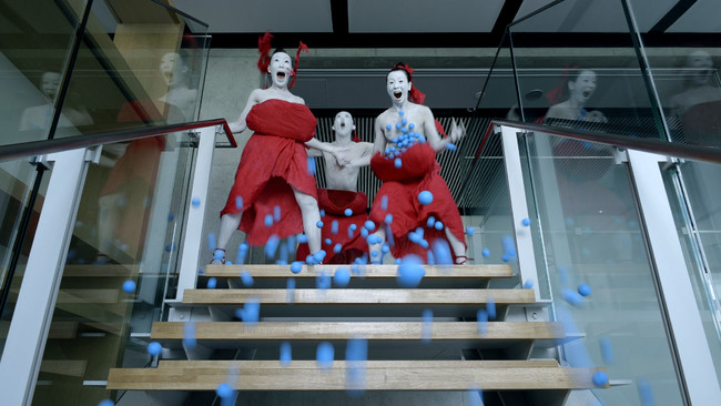 (C)︎SHELL and JOINT (C)︎SHELL and JOINT