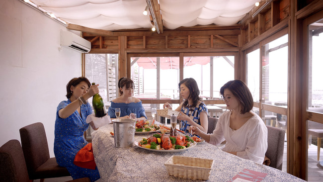 (C)️SHELL and JOINT (C)️SHELL and JOINT