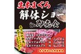 毎月恒例・大好評の「生本まぐろ解体ショー」『サカナタベタイMEGAドン・キホーテ本八幡』2024年12月21日(土)11時より開催!