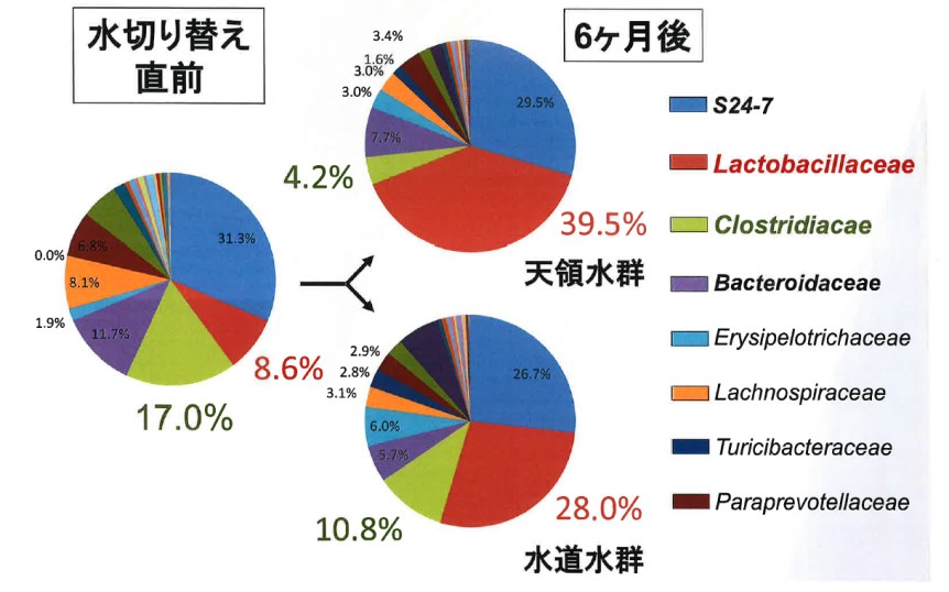 大分大学医学部と日田天領水が共同研究 日田天領水 に抗肥満などの体調改善効果を確認天然ミネラルウォーター長期飲料によるマウス実験の結果を国際誌に掲載