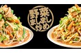 夏の延長戦に! “汁だく野菜炒め”で1日分の野菜摂取をお助け 『野菜ましまし炒めのたれ 背脂醤油味』『同 ガーリック味噌味』新発売