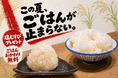 この夏、ごはんが止まらない！7月27日（月）より対象店舗で「塩むすびプレゼント」と「ごはんおかわり無料」を実施