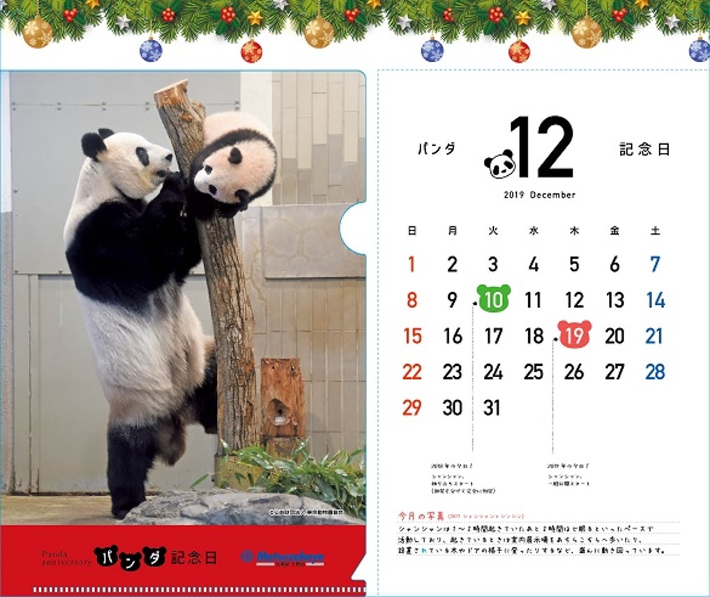 パンダ記念日クリアファイルカレンダー12枚
