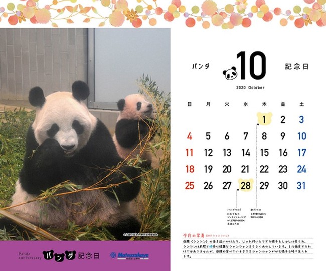 シンシン シャンシャンの親子パンダがたまらなく可愛い パンダ記念日カレンダー入りクリアファイル プレゼント 産経ニュース