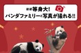 クリスマスは全館が５頭の上野パンダファミリーでいっぱい！ＨＡＰＰＹ ＰＡＮＤＡ ＨＯＬＩＤＡＹＳ ２０２１