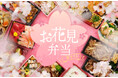 東京のさくら開花予想は3/21頃!お花見は“豪華”or“お手軽”の二極化!?「松坂屋上野店のお花見弁当」