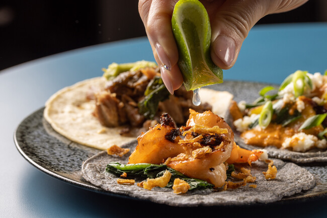 PIOPIKO タコス3枚盛り合わせ