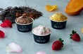 庄司夏子シェフの「été」と「&meal」のコラボレーション。美と食をテーマにギルトフリーのスイーツ「meété(ミーテ)」第2弾がついに登場!