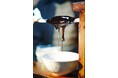 丹波漆の魅力を世界へ!6/23から大阪・関西万博に「丹波漆プロジェクト」出展!漆掻きのオンライン中継も