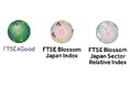 FTSE4Good Index Series、FTSE Blossom Japan Index、FTSE Blossom Japan Sector Relative Indexの構成銘柄に継続選定