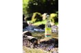 【新商品】ねっか奥会津蒸留所から、柚子が香るクラフト焼酎ハイボール「YUZUねっかHI」が新発売! 米焼酎の新しい楽しみ方を提案