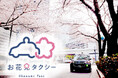 一瞬で過ぎ去る桜の風景を手軽に満喫! 日本交通グループ「お花見タクシー」期間限定運行