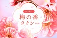 日本交通・東京観光タクシーで、ひと足早い“お花見”を　「梅の香タクシー」期間限定運行