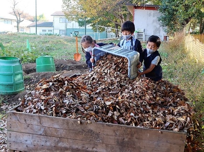 掃き集めた落ち葉を堆肥場に運ぶ初等部生。