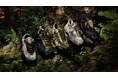 OAKLEY FACTORY TEAMがSS25コレクション第3弾を発表