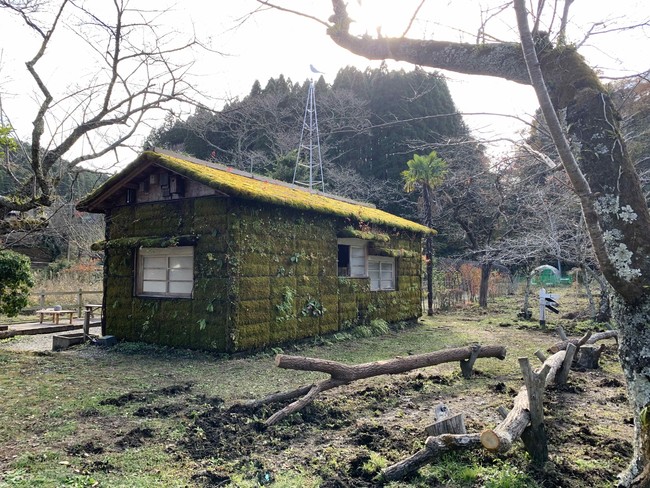 月崎駅周辺にある「森ラジオステーション×森遊会」のアート作品。苔むした小屋のなかで里山のライブ音を聞くことができます。