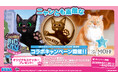 『リトルキティ・ビッグシティ～まいごの子猫の街さんぽ～』と猫カフェ・Cat Café MOFFとのコラボが決定！ステッカー配布や限定ラテアートを展開