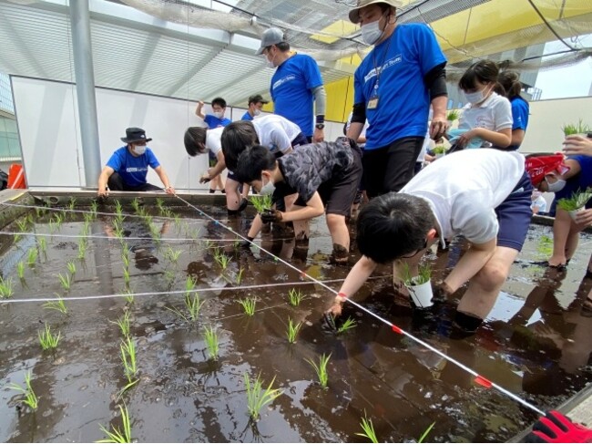 5月　田植え