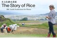 プレナス米文化継承活動 「The Story of Rice」上映会&「ごはんを食べて健康生活」スペシャルトークイベント