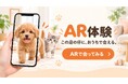 ペットショップの仔犬・仔猫に“おうちで会える”WebAR体験を開発　コーワペッツ「PET DESIGN自由が丘店」で試験導入を開始｜GrowGroup株式会社