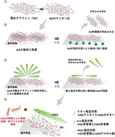 図２：今回新たに解明された、酸化グラフェンの基材と抗菌・抗ウイルス剤との相互作用および抗菌抗ウイルス性発現のイメージ図