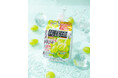 【機能性表示食品】ストレスや疲労感を緩和!9月1日(月)「クラッシュタイプの蒟蒻畑プラス」からシャインマスカット味が新発売!