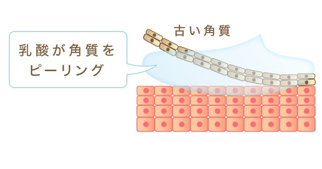“乳酸”でお肌に優しくピーリング