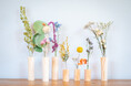 【信州経木】経木の端材を活用したドライフラワーの花器『紙木(しき)と花』7/31発売開始