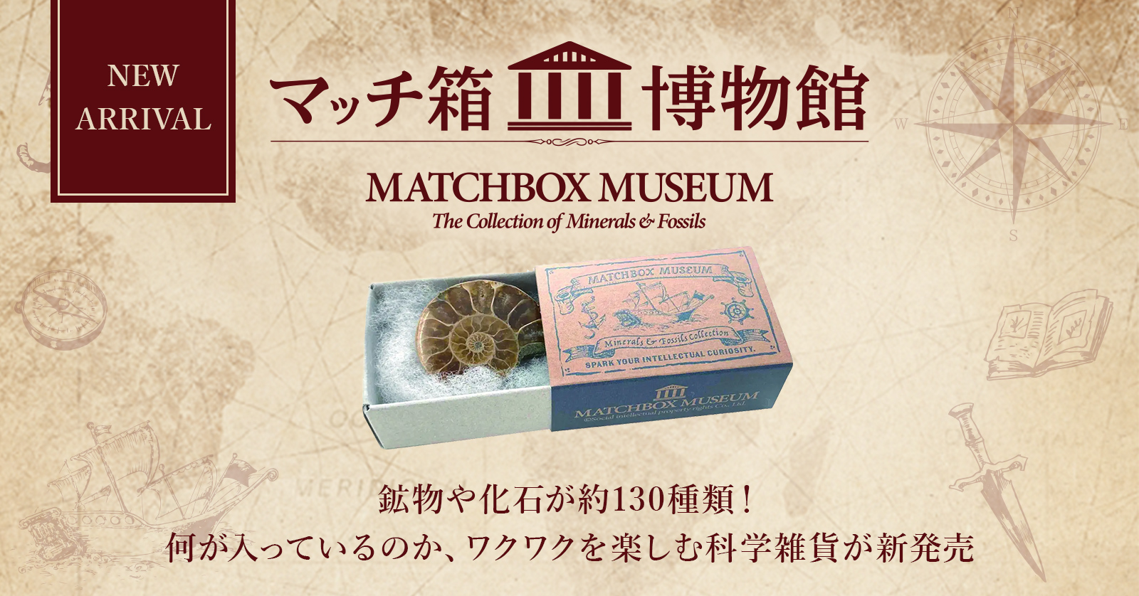 隕石 ？化石？ 木箱あり