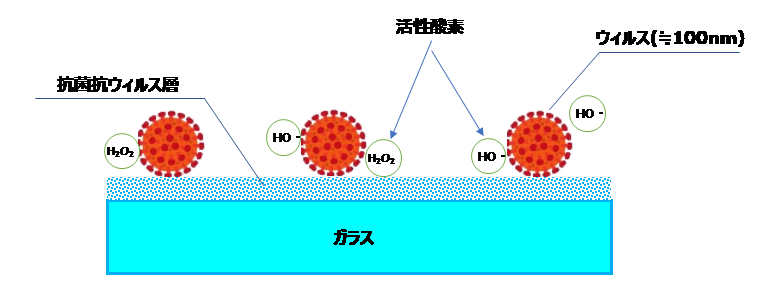 ゾル‐ゲル法によるガラスへの抗菌・抗ウイルスコーティングの開発に成功|日本板硝子株式会社のプレスリリース