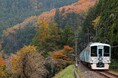 絶景の雲海&星空鑑賞を目指す!『52席の至福』車両で行く 秩父絶景ツアー開催!
