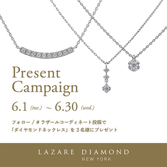 パネル ラザールダイヤモンド ネックレス | mssw.in