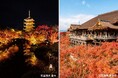 HOTEL THE MITSUI KYOTO「秋の特別拝観プライベートツアー」を提供。世界遺産「清水寺」「東寺」を含む、京都の紅葉の名所としても名高い3つの寺院での特別体験