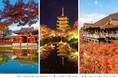 世界遺産「平等院」「東寺」「清水寺」にて1日1組限定・秋の特別拝観プライベートツアーを提供