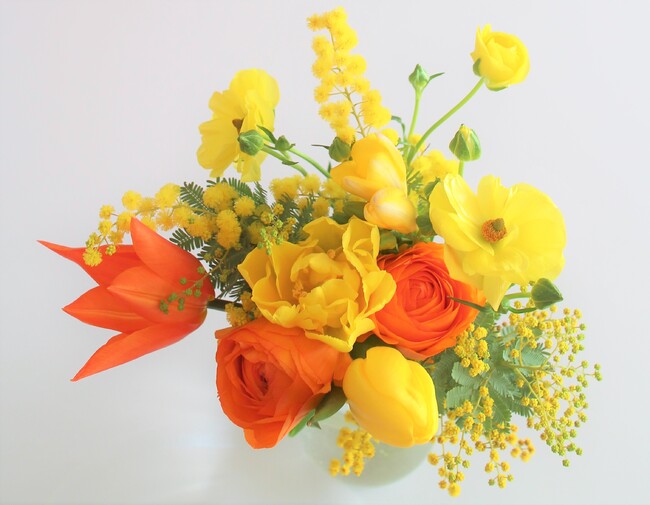 春が旬のビタミンカラーの花々「#幸せの黄色い花」