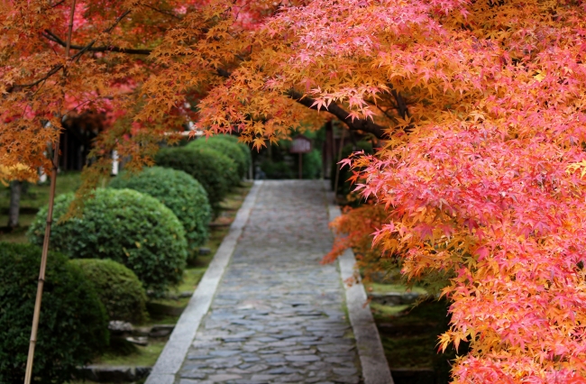 酬恩庵・一休寺